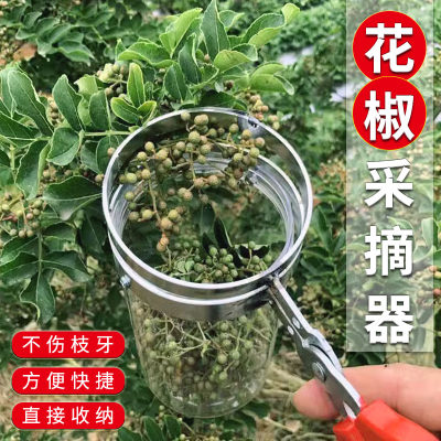 新款采摘花椒神器专用剪刀工具网兜葡萄枝剪叶采果剪茶叶拇指草莓