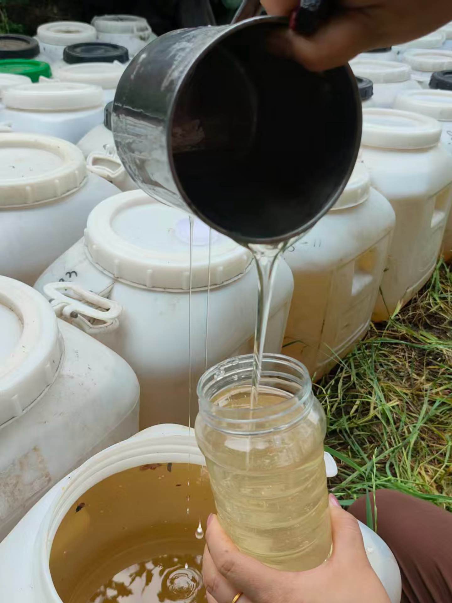 土蜂蜜 百花蜜 农家自产 液态蜜 包售后