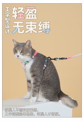 Touchdog渐变牵引绳套装猫咪H型背带遛猫绳防挣脱猫链子宠物用品