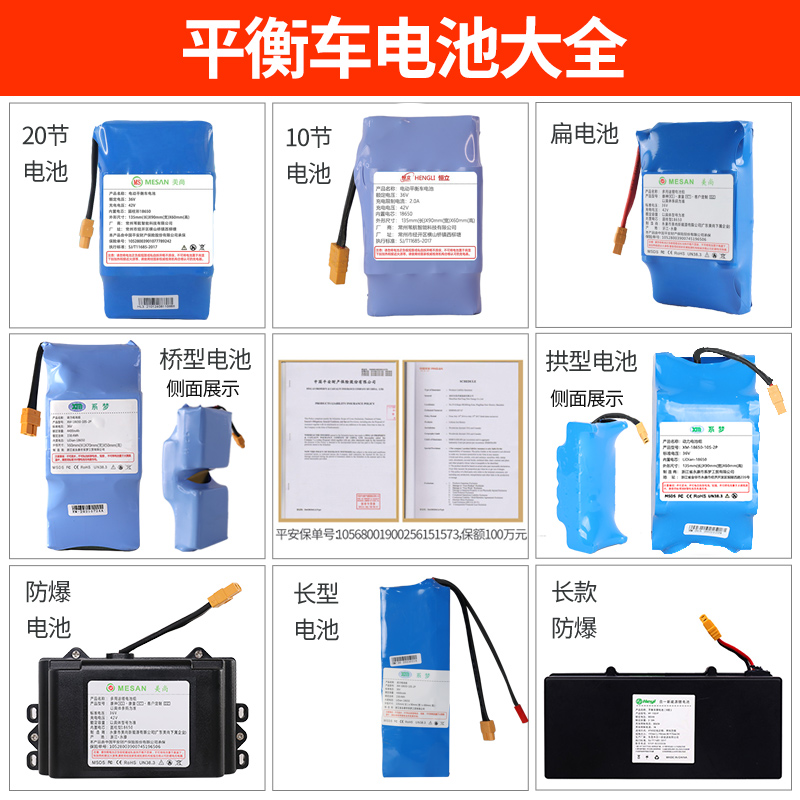 双轮平衡车电池通用36v阿尔郎领奥系梦左拉电动42v锂电瓶配件大全