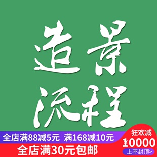 观赏鱼缸 造景流程草缸制作流程简介草缸造景流程