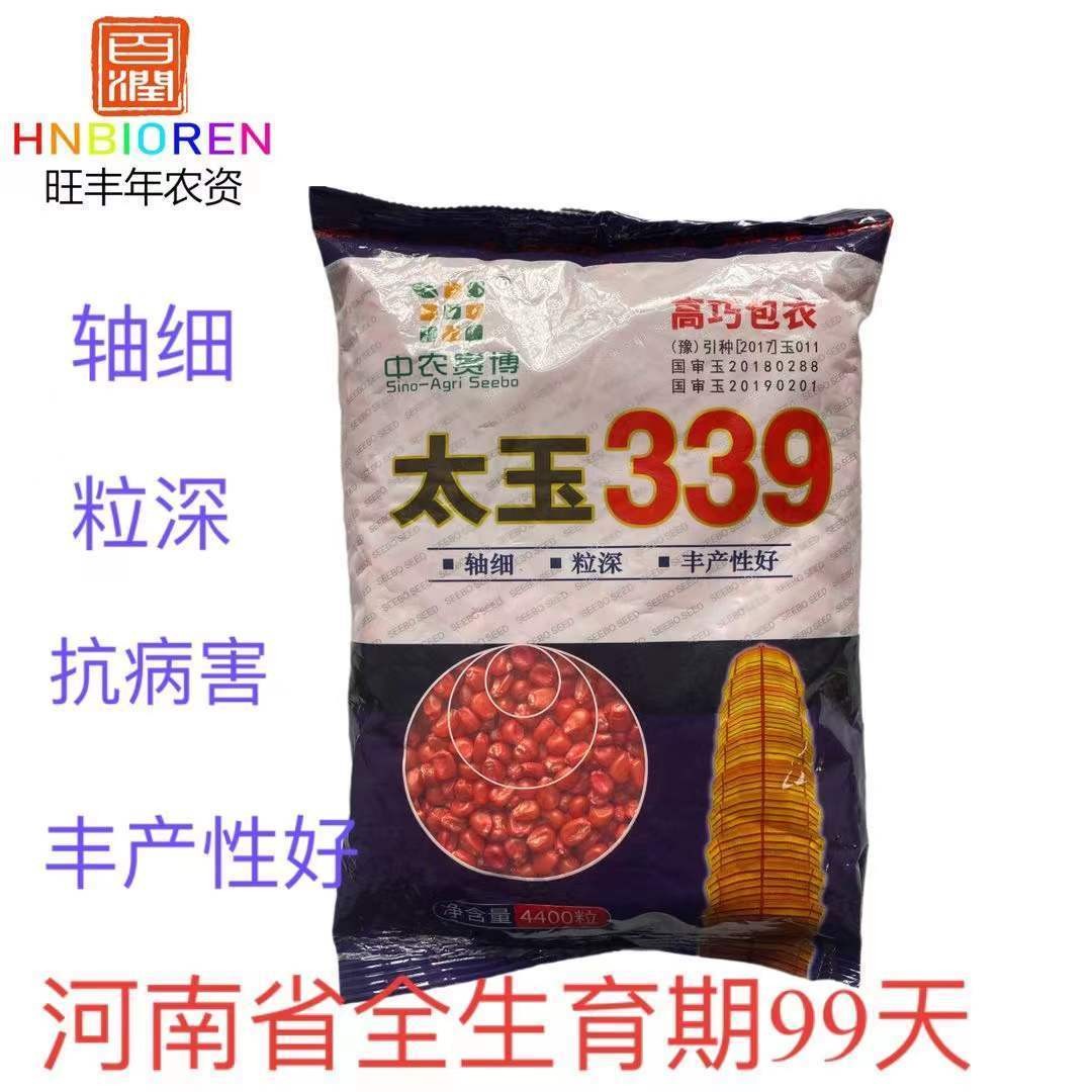 太玉339玉米种子 轴细 粒深 抗病害 丰产性好玉米种子高产第yi名