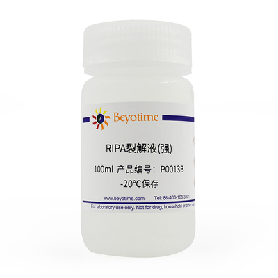 碧云天 Beyotime  P0013B 100ml RIPA裂解液(强)