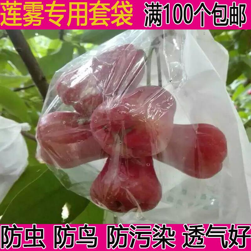 莲雾套袋莲雾专用日光袋半透明莲雾套袋释迦果荔枝套袋水果专用袋