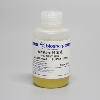 biosharp BL535A Western封闭液 100ml