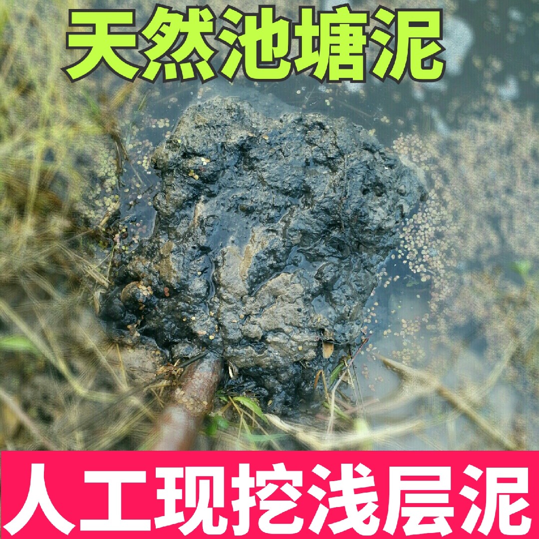 天然有机荷塘浅层淤泥