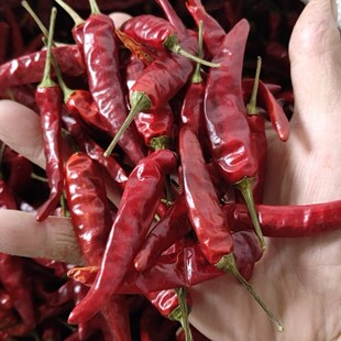 贵州遵义朝天椒 绥阳干辣椒 精品艳椒 辣子鸡 炒菜调料500g 包邮