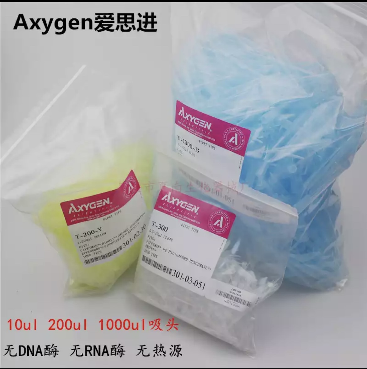 Axygen爱思进移液器10/200/1000ul白黄蓝色吸头枪头吸嘴T-300T--Y