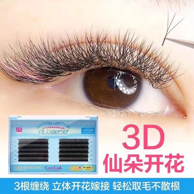 0.05三叶草嫁接睫毛貂绒毛美睫店专用三叶草开花种植睫毛