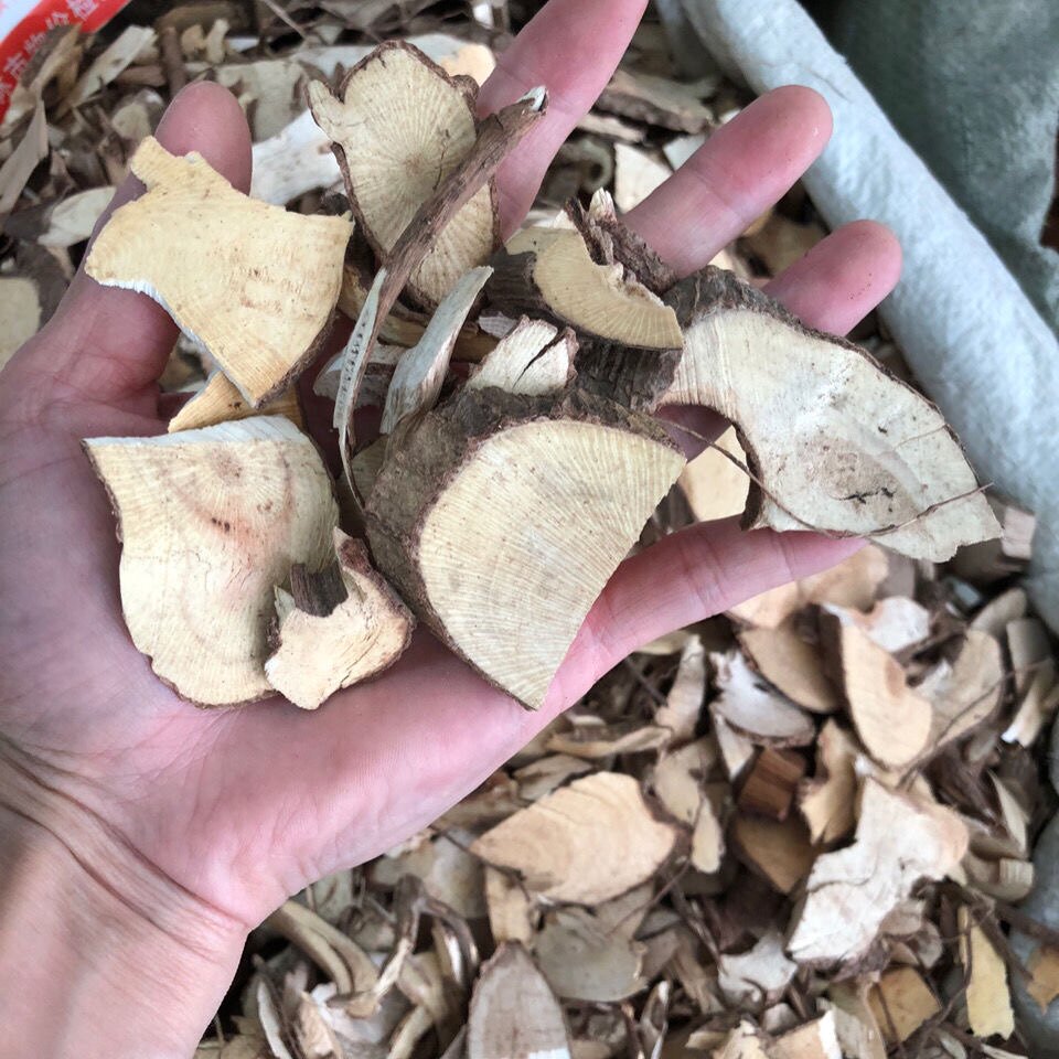 广西 走马胎 中药材 500g包邮 走马风 血枫山猪药 走马胎根