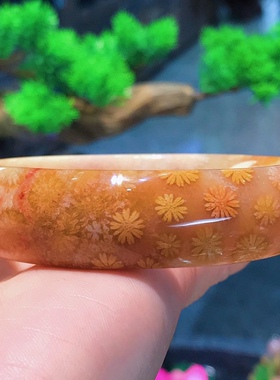 一博珊福精品天然珊瑚玉冰彩立体花手镯女