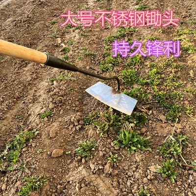 大锄头农具不锈钢锄草挖土G开荒翻地种菜家用除草专用工具铲草神