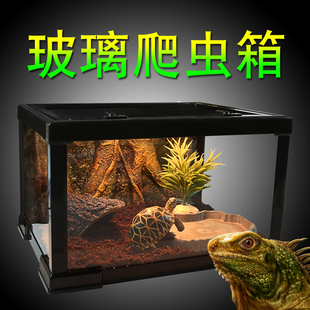 爬虫饲养箱玻璃 塑料筐保温箱 小型 蜥蜴守宫陆龟养殖箱
