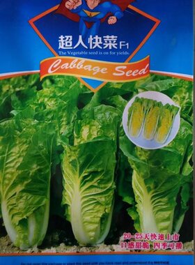 原包装非转基因种子脆甜四季快菜
