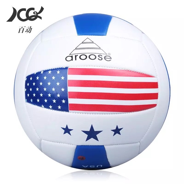 Ballon de volley-ball - Ref 2009480 Image 3