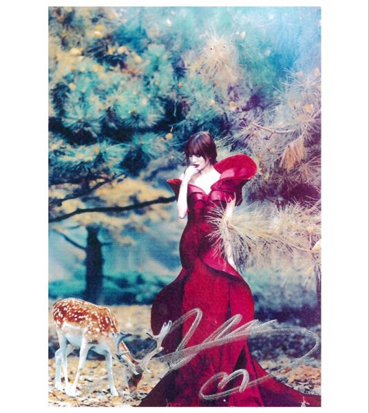 Accessoire coiffure - Ref 1205034 Image 1