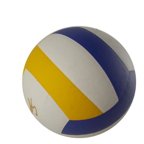 Ballon de volley - Ref 2013795 Image 3