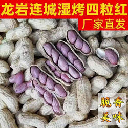 闽西特产龙岩湿烤花生连城文亨湖峰小种紫衣水煮咸干湿烤红衣花生