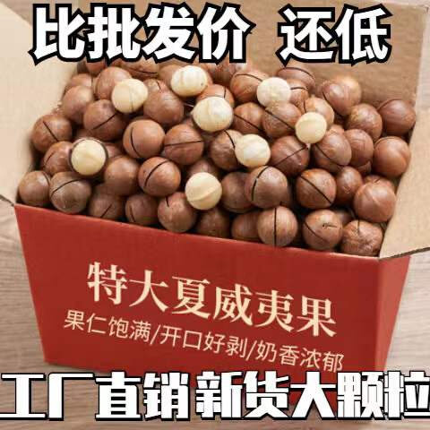 新货夏威夷果带壳送开口器奶油味休闲食品坚果干果零食小吃年货