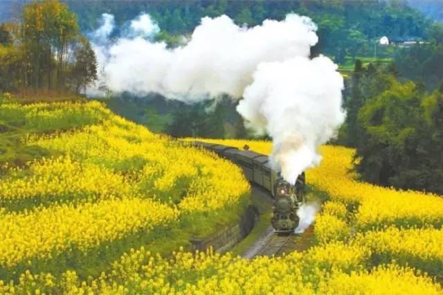 四川各县经济排名新鲜出炉,前100强乐山只有7