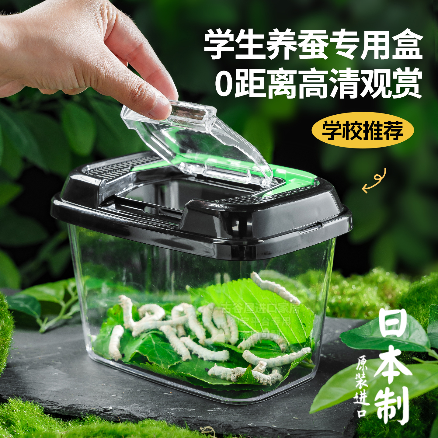 日本进口小学生养蚕专用盒