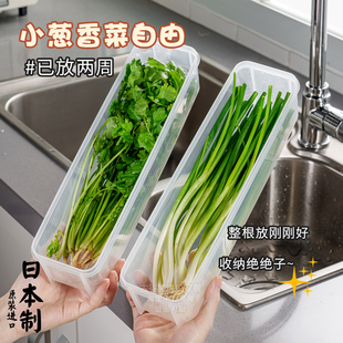 日本进口香菜小葱收纳盒冰箱芫荽整根保鲜神器食品级面条鸡蛋备菜