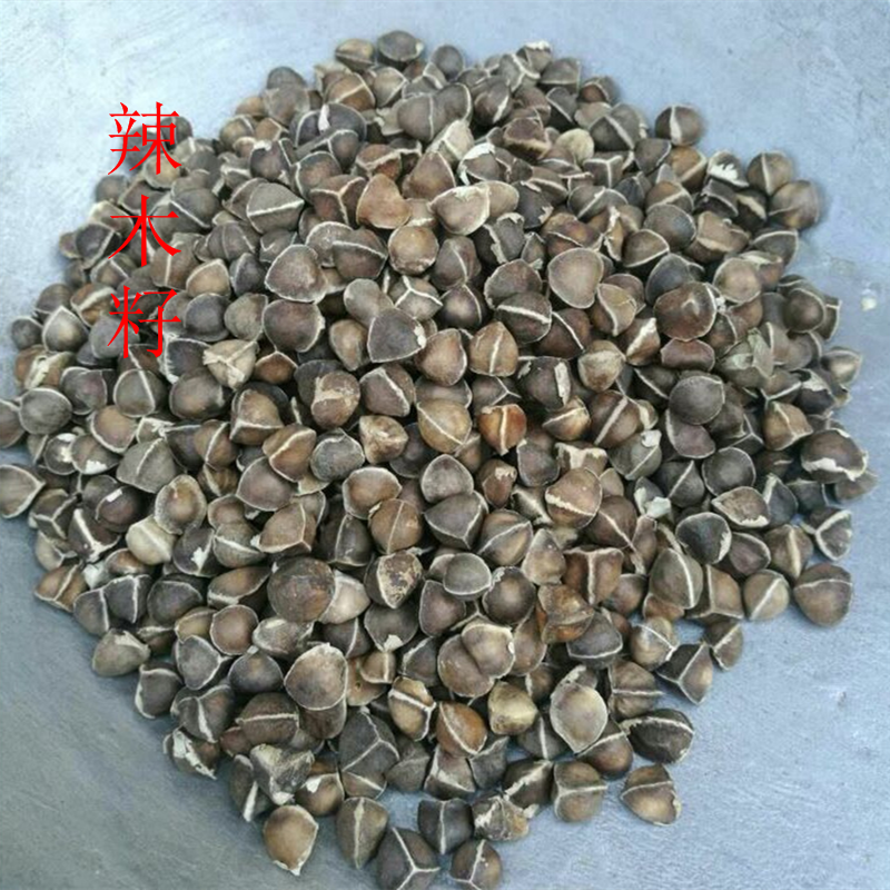 1斤装 辣木籽的功效印度进口包邮 辣木籽正品食用辣木子500克