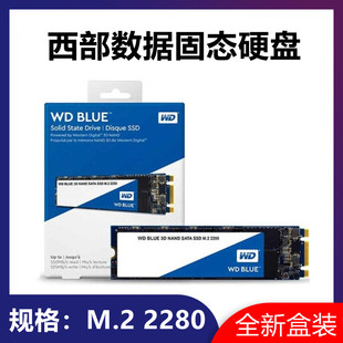 WD/西部数据蓝盘250G/500G/1T /2T M.2固态硬盘SATA协议SSD