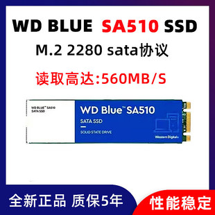 WD/西部数据SA510固态硬盘500GB 1TB台式机笔记本电脑M.2SATA SSD