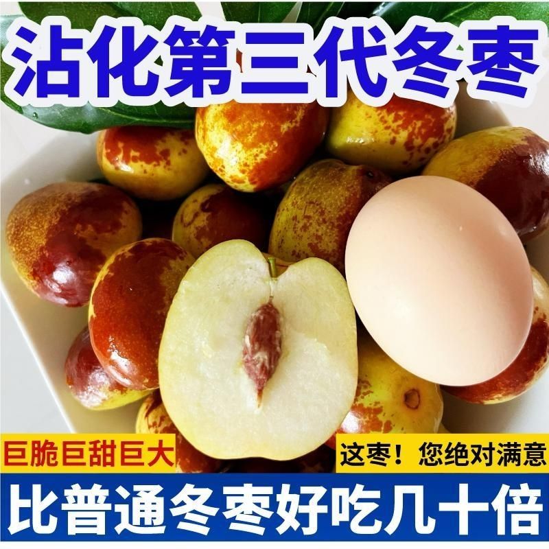 三代沾化冬枣冰糖脆甜一级超大果王现摘新鲜孕妇当季水果产地直发