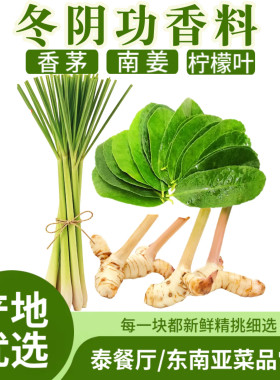 冬阴功汤料 香茅草南姜柠檬叶新鲜食用调料泰式冬阴香料菜奶茶店