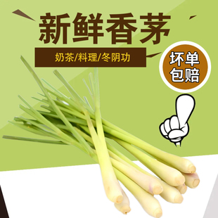 香茅草 新鲜食用奶茶原料 香茅 冬阴功食材泰国菜香料 柠檬草