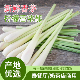 香茅草 新鲜食用奶茶原料 香茅 冬阴功食材泰国菜香料 柠檬草