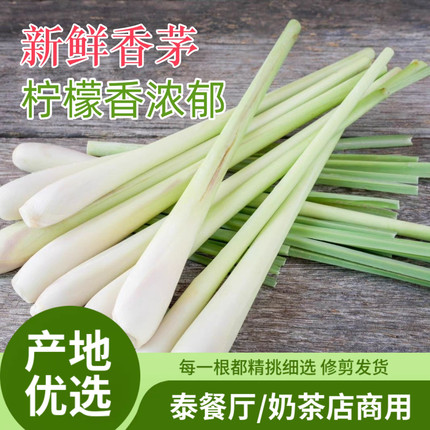 香茅草 新鲜食用奶茶原料 香茅 冬阴功食材泰国菜香料 柠檬草