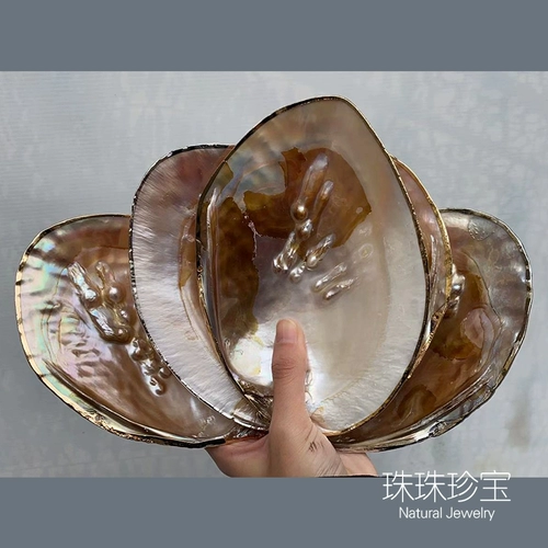 Натуральная пресноводная раковина жемчужная раковина полирована с ювелирными украшениями рыбки аквариум -ландшафт творческая тарелка