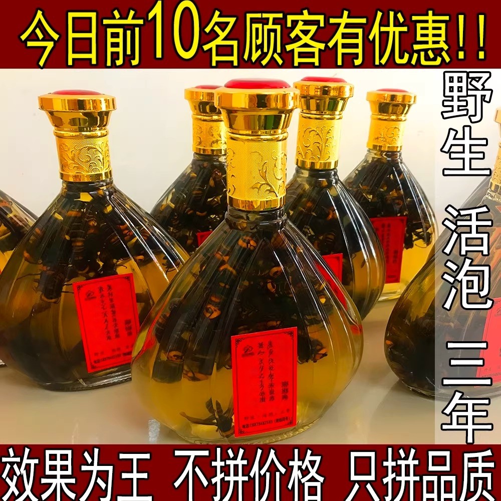 虎头蜂酒马蜂酒胡蜂地蜂野生金环胡蜂酒诱蜂水活泡三年直接用