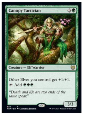 万智牌 凯德海姆 金 Canopy Tactician 简中/英文 林冠策士