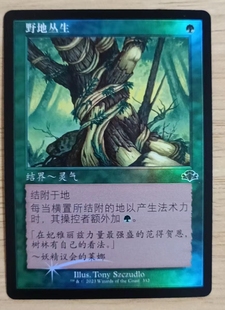 呆呆龙卡牌 万智牌 多明重制 闪 简中/英文 日印 老框 野地丛生