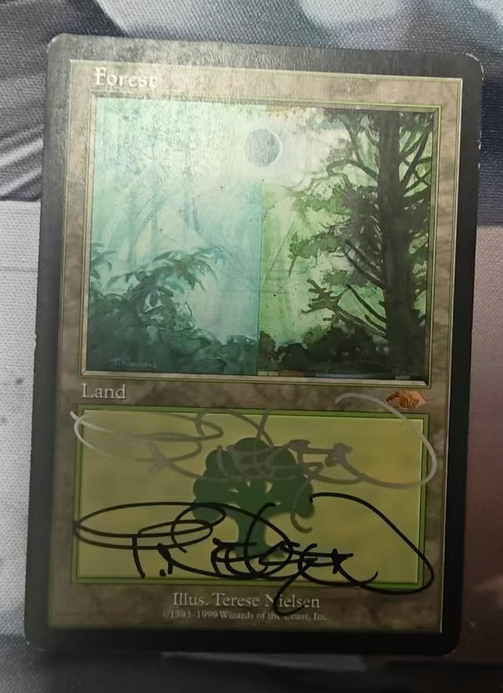 万智牌 树林 MP 英文 大师地 Guru Lands GUR ZD 签字 实物图