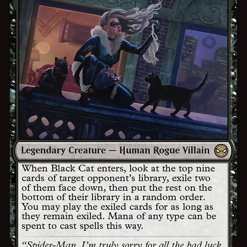 万智牌 Black Cat, Cunning Thief 狡猾大盗黑猫 平/闪/扩画 SPM