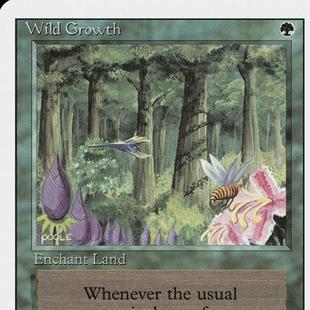 呆呆龙卡牌 万智牌 第三版 野地丛生 英文