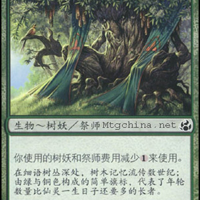 呆呆龙卡牌 万智牌 树丛掌旗 简中 晨光