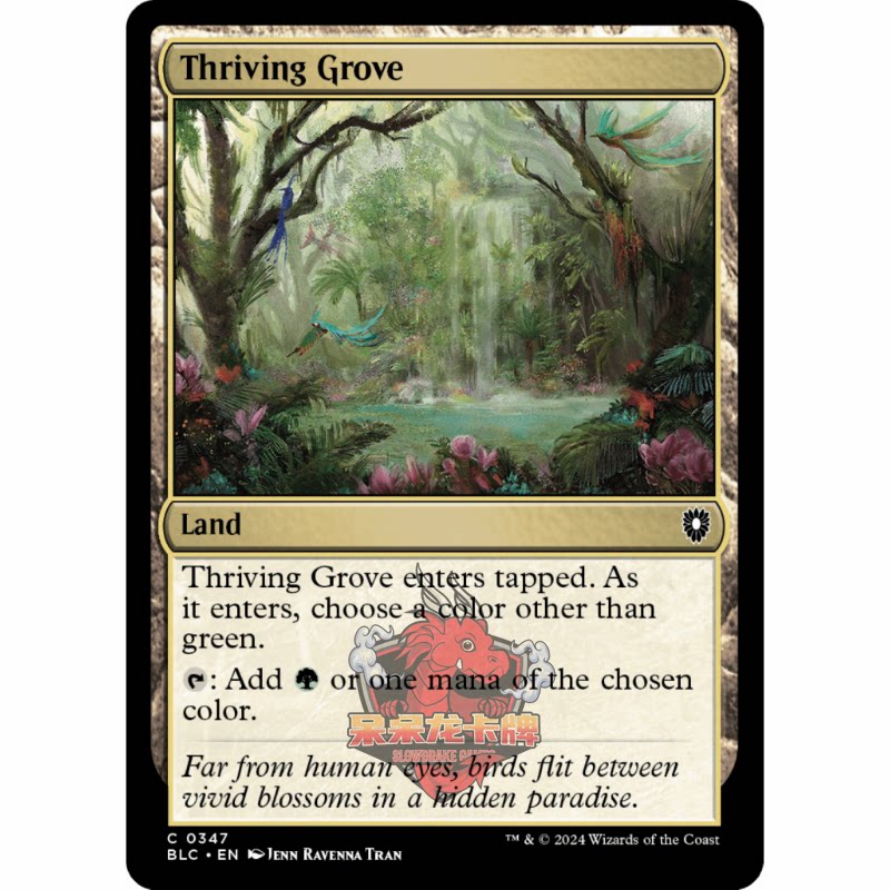 万智牌 兴旺树丛 Thriving Grove 347 英文 平 斑隆洛图片