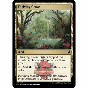 万智牌 兴旺树丛 Thriving Grove 347 英文 平 斑隆洛