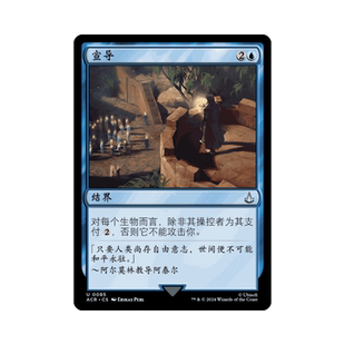 呆呆龙卡牌 万智牌 宣导 简中/英文 平/闪/蚀刻 刺客信条