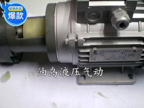 齿轮泵CB-B2.5 CB-B4 CB-B6 CB-B10配370W电机 齿轮泵 油泵电机组
