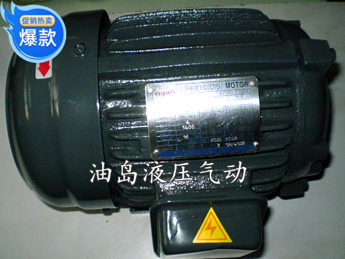 台款YUDAO铜芯内轴电机 液压系统内轴油压电机油泵电机5HP/3.75KW