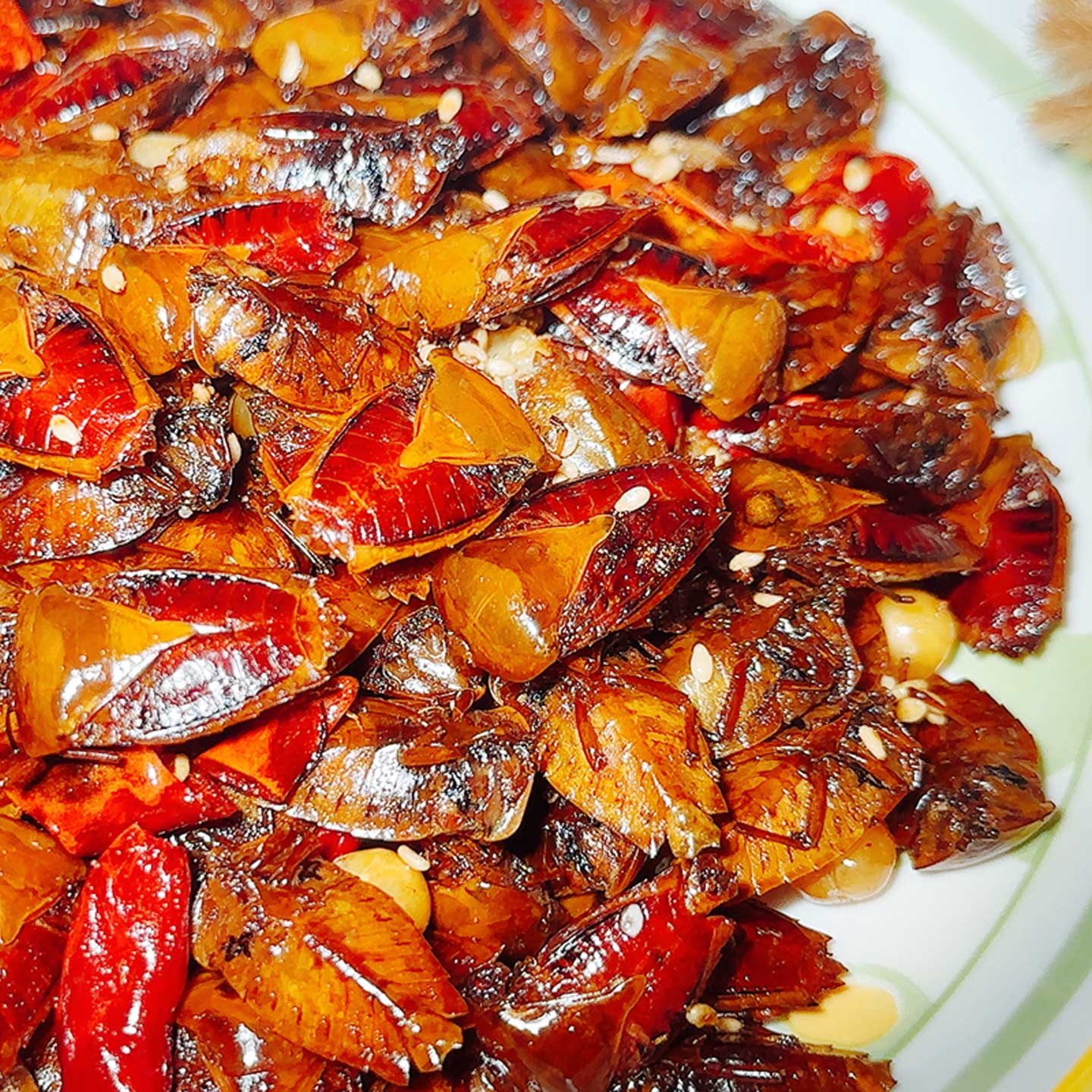 特色虫子美食九香虫油炸大臭板虫异域风味大个头打屁虫东南亚昆虫