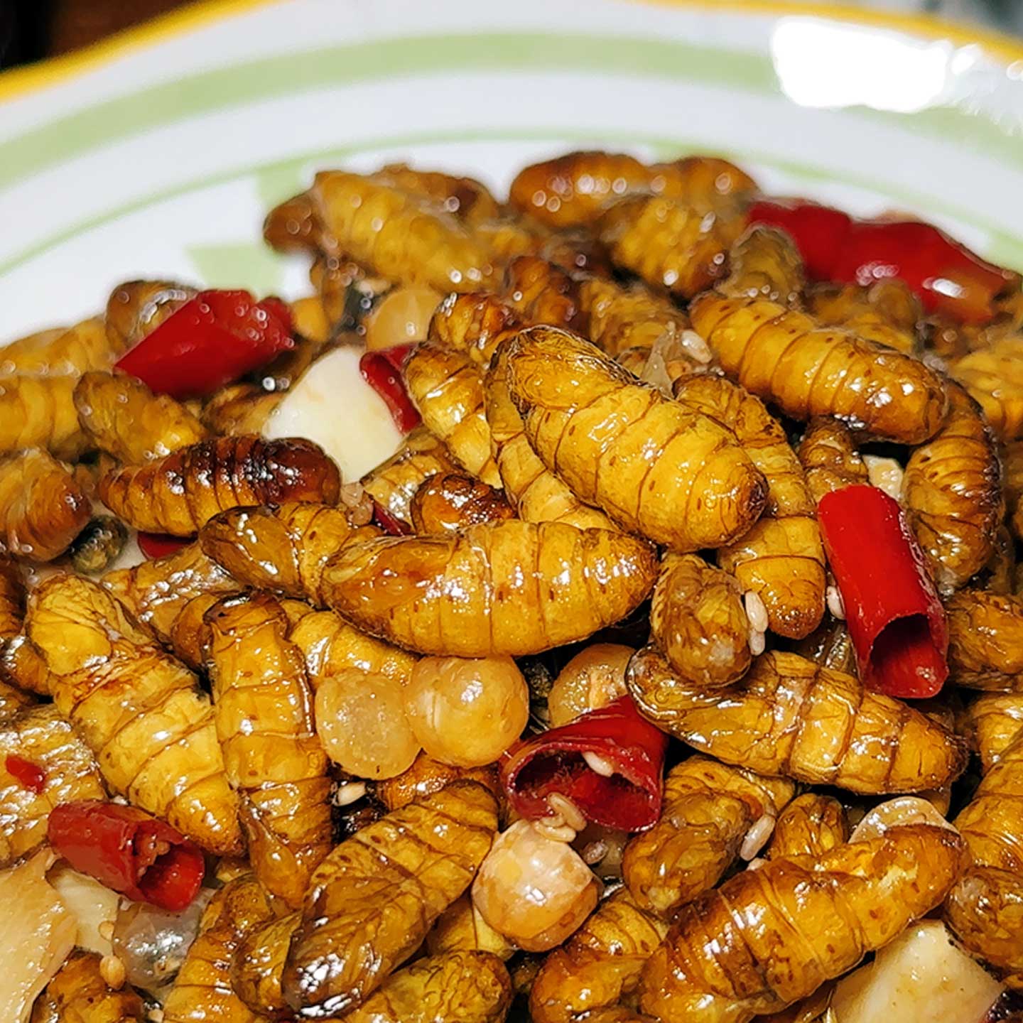 现炒金丝蛹即食桑蚕蛹肉质饱满昆虫美味小蝉蛹下酒食用虫子高蛋白