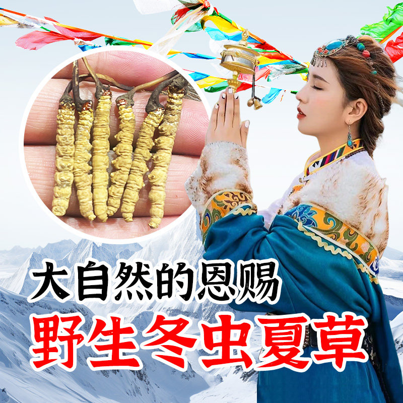 青海玉树一级天然正宗冬虫夏草非西藏那曲干货礼盒非断草青海发货